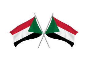 苏丹挥舞友谊旗帜