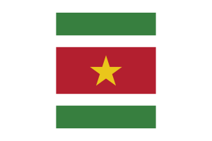 苏里南国旗 （下载SVG， PNG）