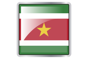 苏里南国旗广场图标
