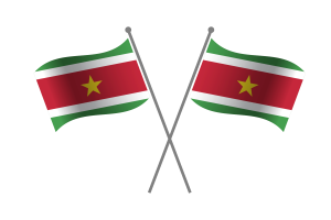 苏里南友谊旗
