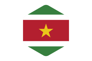苏里南国旗圆形六边形