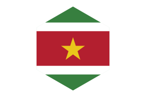 苏里南国旗六边形