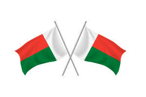 马达加斯加挥舞友谊旗帜