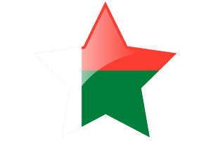 马达加斯加国旗星图标