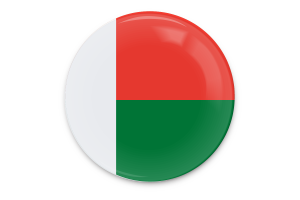 马达加斯加国旗矢量艺术