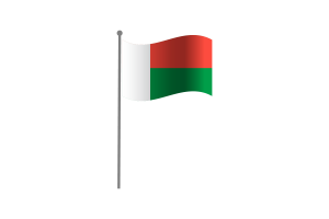 挥舞马达加斯加国旗