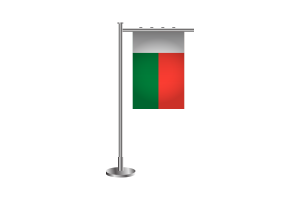 3d 马达加斯加站立旗