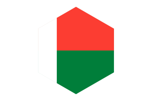 马达加斯加国旗六边形
