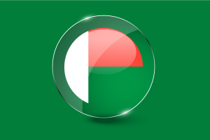 马达加斯加国旗光泽圆形按钮