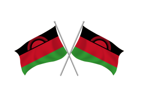 马拉维挥舞友谊旗帜
