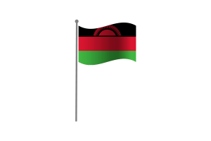 挥舞着马拉维国旗
