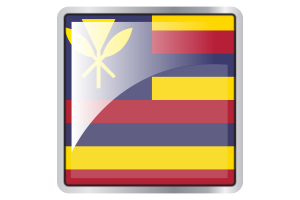夏威夷王国国旗广场图标