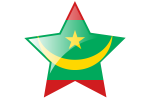 毛里塔尼亚国旗星图标