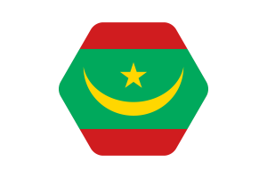 毛里塔尼亚国旗矢量插图