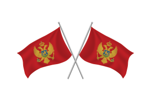 黑山挥舞友谊旗帜