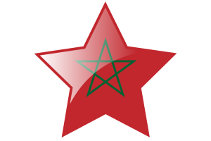 摩洛哥国旗星图标