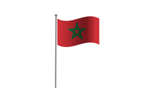 挥舞着摩洛哥国旗