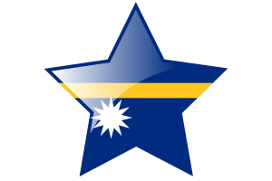 瑙鲁国旗星图标