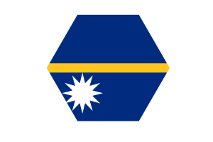 瑙鲁国旗矢量免费|SVG 和 PNG