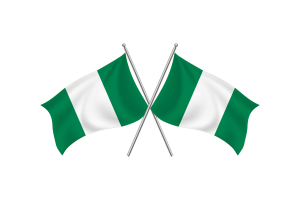 尼日利亚挥舞着友谊旗帜
