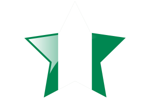尼日利亚国旗星图标