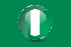 尼日利亚国旗光泽圆形按钮