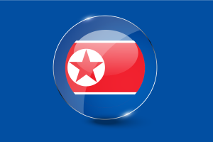 朝鲜国旗光泽圆形按钮