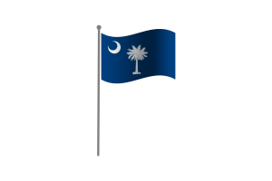 挥舞着南卡罗来纳州的旗帜