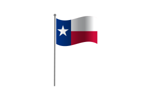 挥舞着德克萨斯州的旗帜