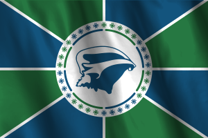 马提尼克岛旗帜