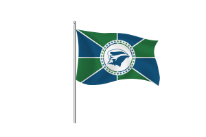 马提尼克岛旗帜符号