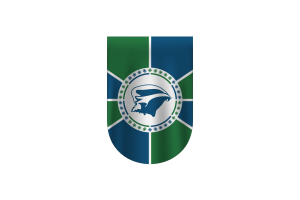 马提尼克岛旗帜矢量免费下载（SVG，PNG）