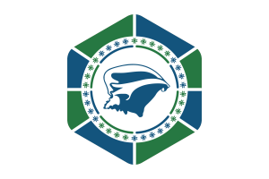 马提尼克岛旗圆形六边形