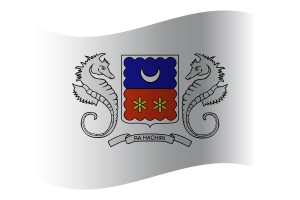 马约特岛旗帜