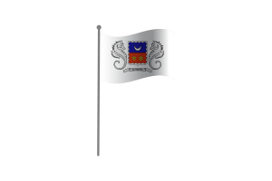挥舞着马约特岛的旗帜