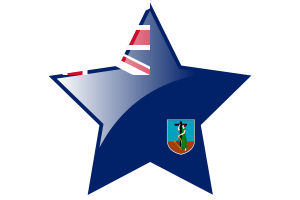 蒙特塞拉特旗帜星图标
