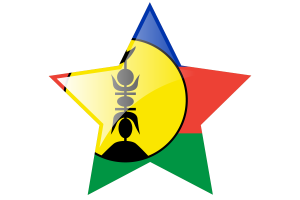 新喀里多尼亚旗帜星图标