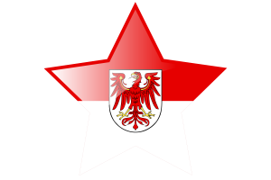 勃兰登堡旗帜星图标