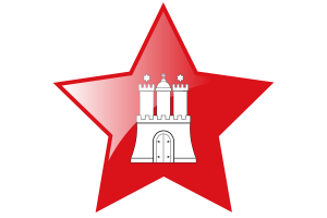 汉堡旗帜星图标