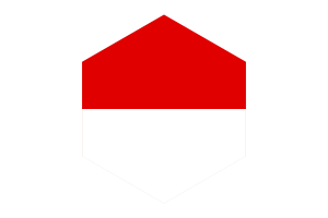 黑森州旗帜六边形
