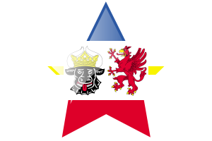 梅克伦堡-前波美拉尼亚旗帜星图标