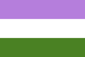 性别酷儿的旗帜