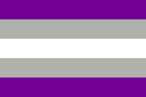 灰色无性恋主义的旗帜