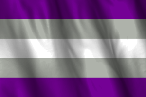 灰色无性恋旗帜