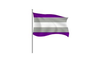 灰色无性恋主义旗帜符号