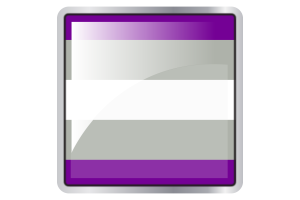 灰色无性恋旗帜广场图标