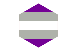 灰色无性恋旗帜六边形