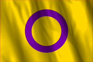 双性人旗帜
