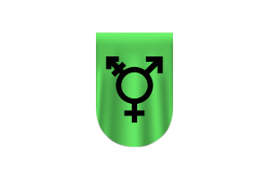 以色列跨性别旗帜矢量自由Dowanlod （SVG，PNG）