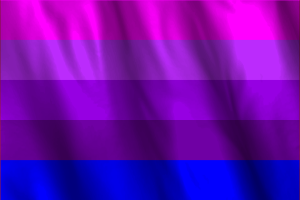 詹妮弗·佩利宁的变性人旗帜